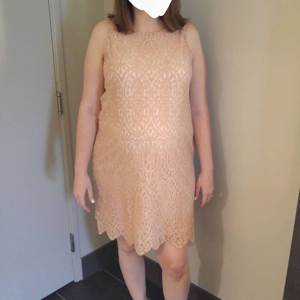 Elegant Maternity Lace Sleeveless Dress in Blush